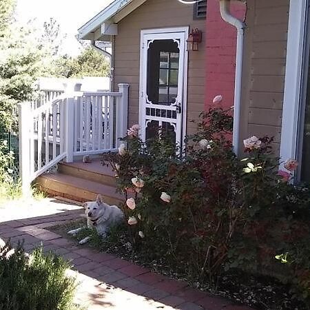 Blue Bird Cottage - Pet Friendly Julian Exterior foto