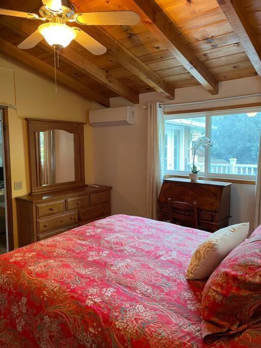 Blue Bird Cottage - Pet Friendly Julian Exterior foto