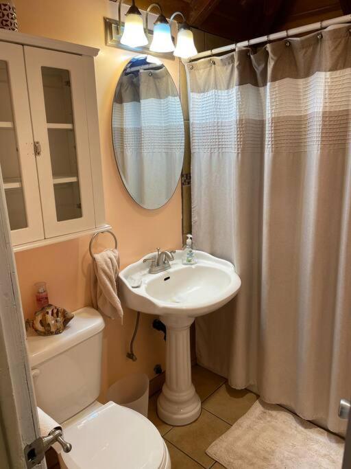 Blue Bird Cottage - Pet Friendly Julian Exterior foto