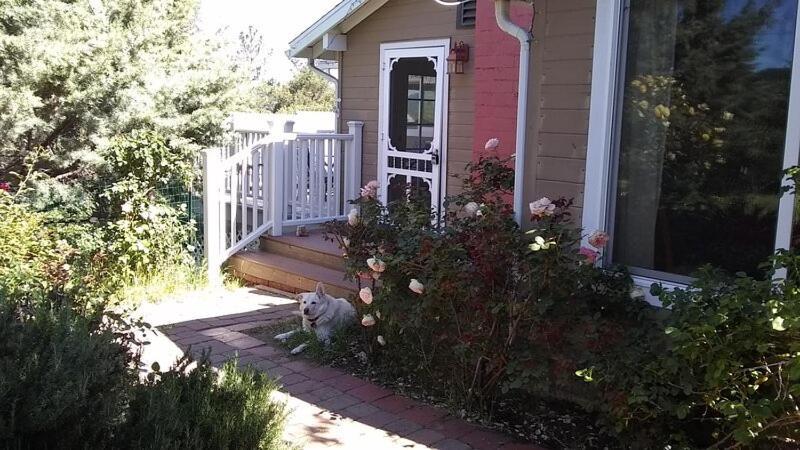 Blue Bird Cottage - Pet Friendly Julian Exterior foto